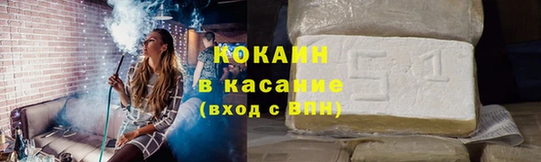 твердый Алексеевка
