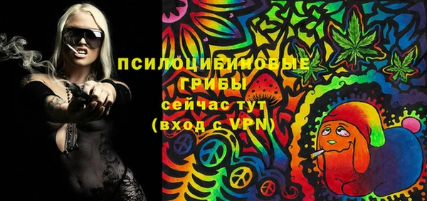твердый Алексеевка