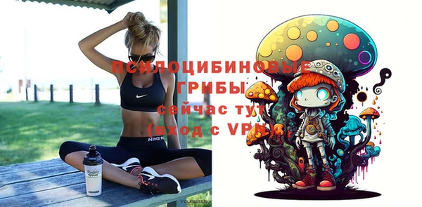твердый Алексин