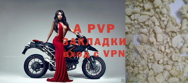 apvp Алзамай