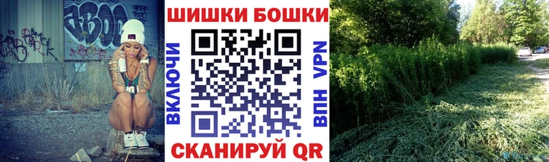 Шишки марихуана марихуана Закаменск